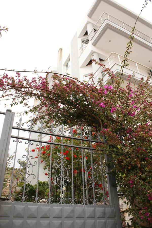סרנדה Alexandra'S Apartments מראה חיצוני תמונה